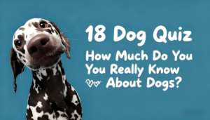 18 Dog Trivia Quiz