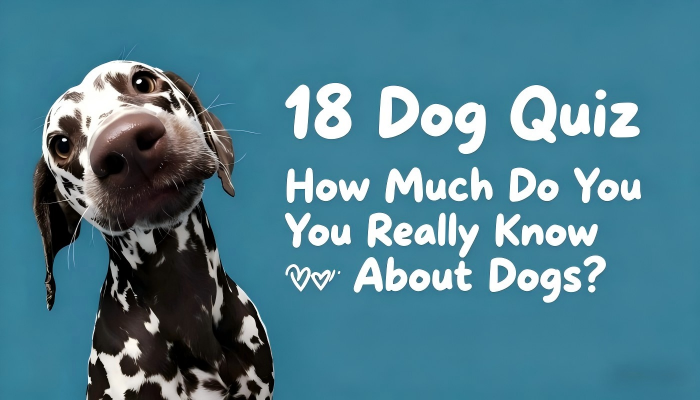 18 Dog Trivia Quiz