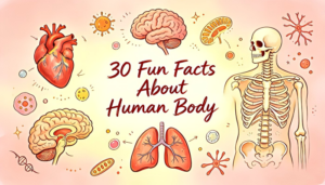 30 Fun Facts About Human Body