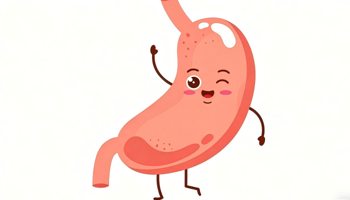 appendix