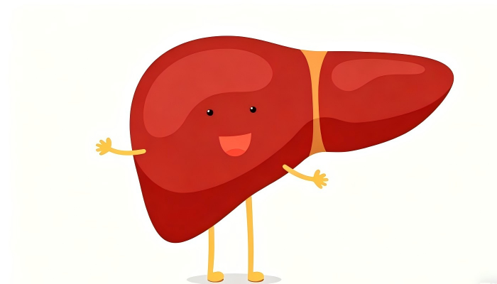 liver